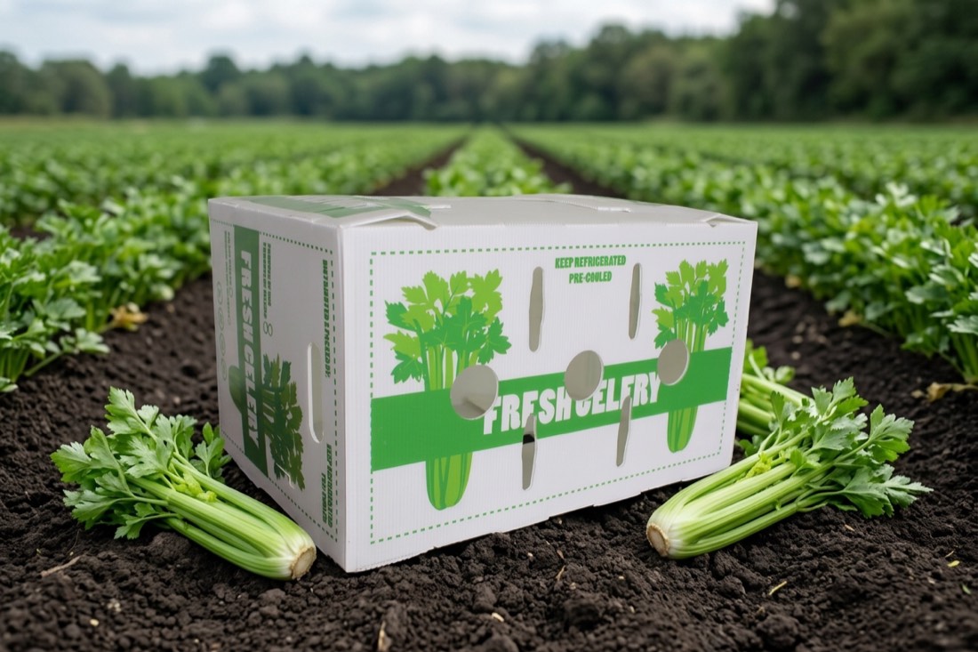 Caja Mely Packaging de apio en campo